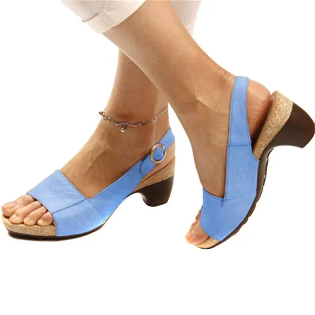 product-image-1096507643_78631b10-25c1-4831-9655-a6a159316eef.webp